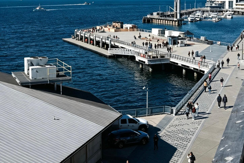 Seattle: Waterfront Gold Rush History Tour with Great Wheel