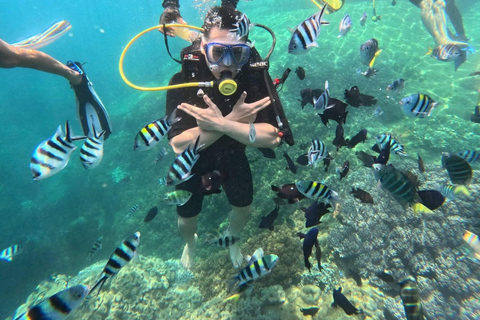 Da Nang/Hoi An: Private Cham Island Tour with Lunch Hoi An PRIVATE Transfers: Cham Island Snorkeling with Lunch
