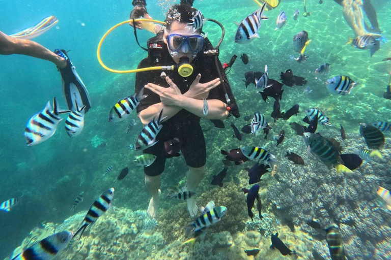Da Nang/Hoi An: Private Cham Island Tour with Lunch Hoi An PRIVATE Transfers: Cham Island Snorkeling with Lunch
