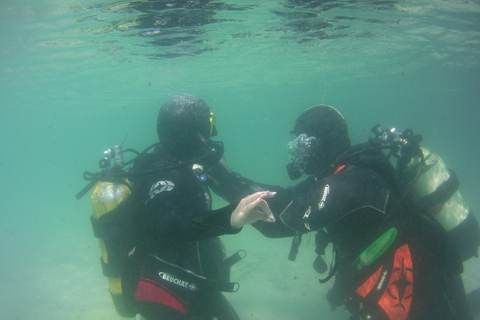 Haren: Introductory Diving/Try Scuba Haren: Try Scuba