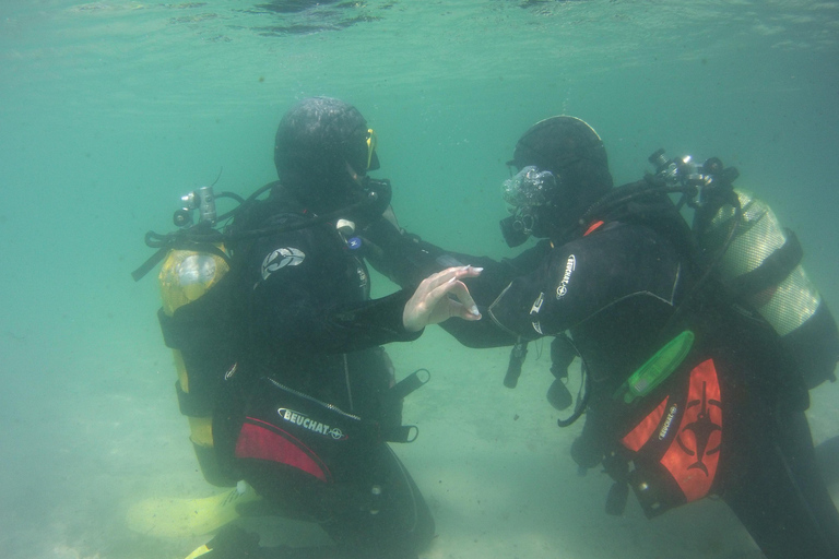 Haren: Introductory Diving/Try Scuba Haren: Try Scuba