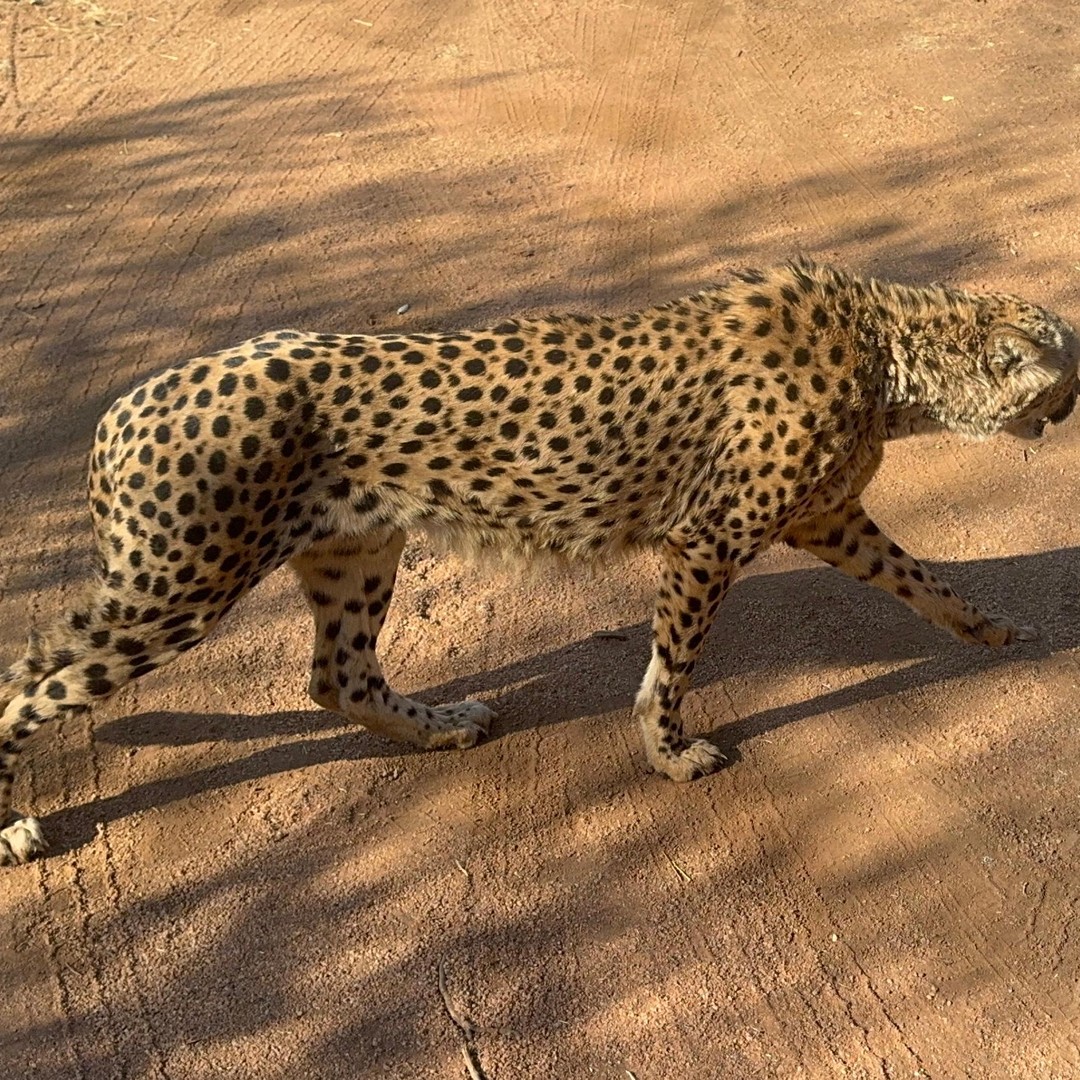 メディア コラージュ