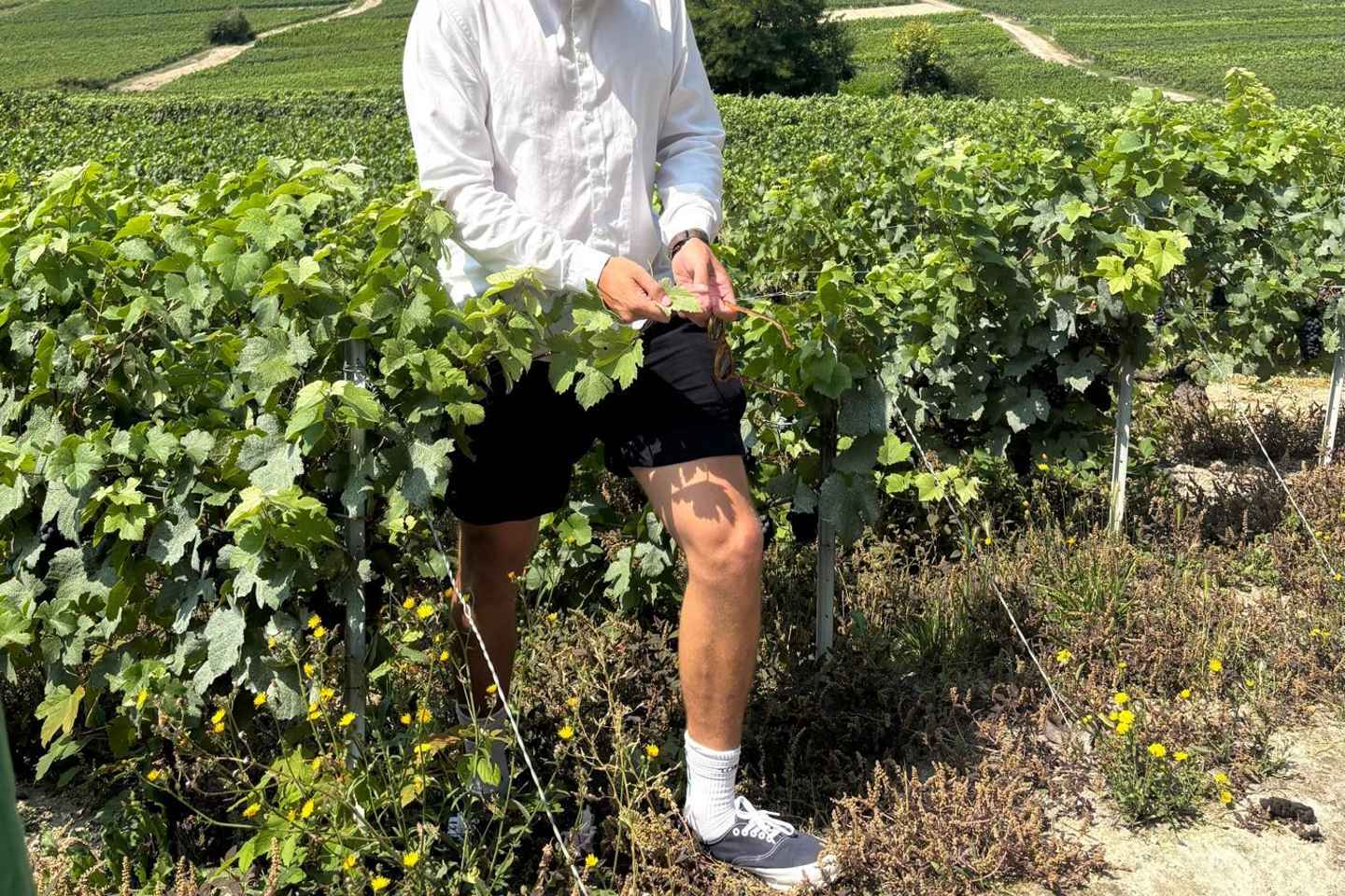 Epernay : Atypical Champagne tasting with a great view