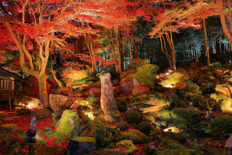 Tour autunnale dei templi Enryaku-ji e KyorinboParti da Kyoto