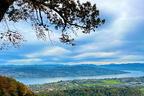 Teleférico de Zúrich paisaje panorámico lago de Zúrich comodidad