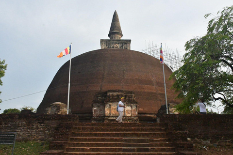 Culturele Driehoek 5 Dagen 4 Nachten in Sri Lanka