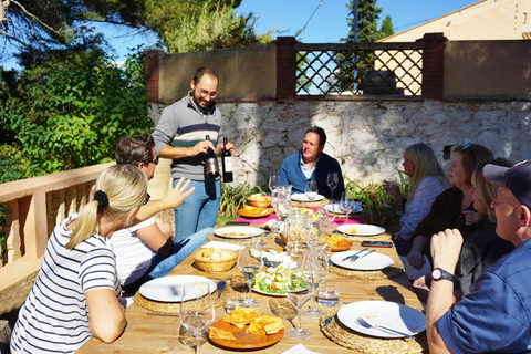 Valencia: Utiel-Requena Wine Tour with Tapas and Wines