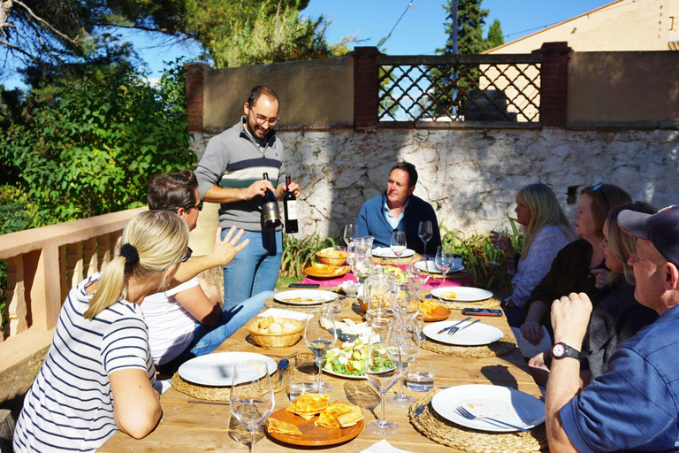 Valencia: Utiel-Requena Wine Tour with Tapas and Wines