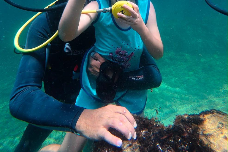 Mahdia: Guided Medina Tour and Scuba Diving Experience