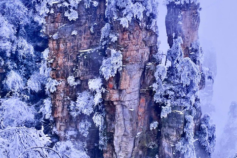 Private Zhangjiajie Tour: Elevator, Avatar, Stream & Valley Opt C: Private Guide & Transfer – Downtown