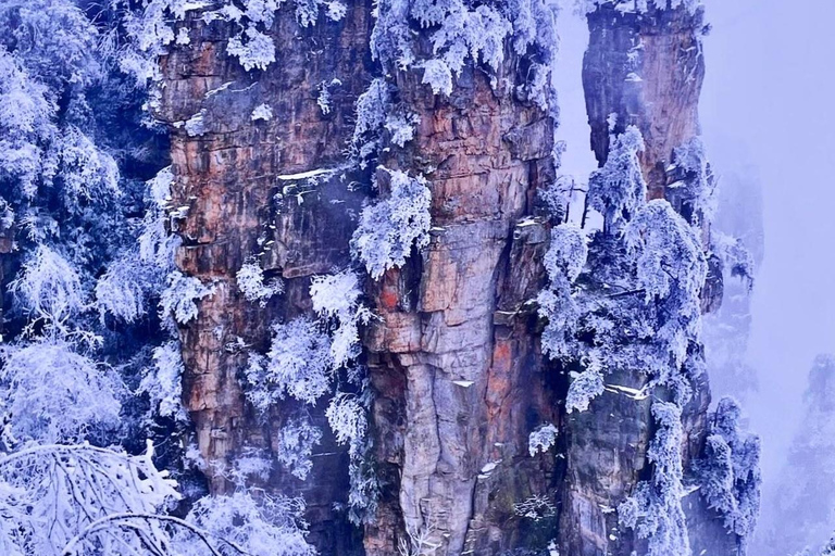 Private Zhangjiajie Tour: Elevator, Avatar, Stream & Valley Opt C: Private Guide & Transfer – Downtown