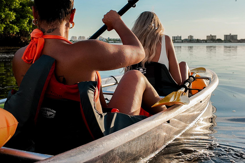 Clearwater: Guided Clear Kayaking Tour