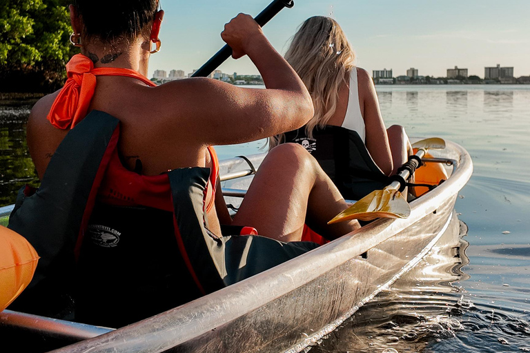 Clearwater: Guided Clear Kayaking Tour