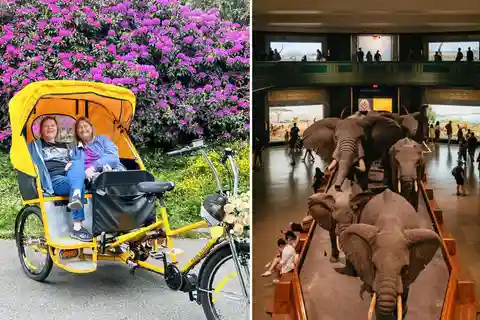 Tur cu biciclete cu pedale în Central Park + bilete opționale pentru Muzeul de Istorie Naturală