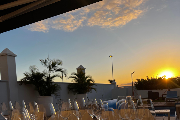 Tenerife: Private Canary Wine Tasting at Your Villa