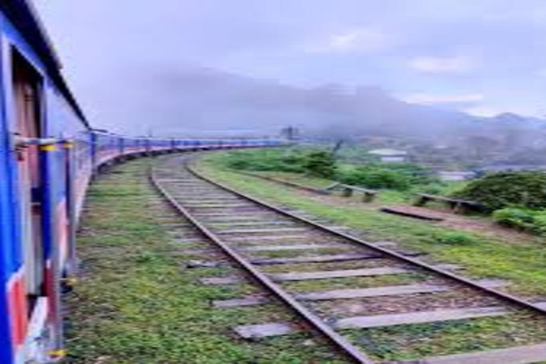 Sri Lanka Ella Train Ride from Ambewela and Adams Peak