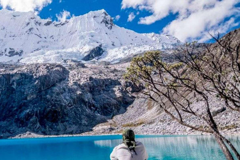 Excursion to Huascarán National Park + Chinancocha Lagoon