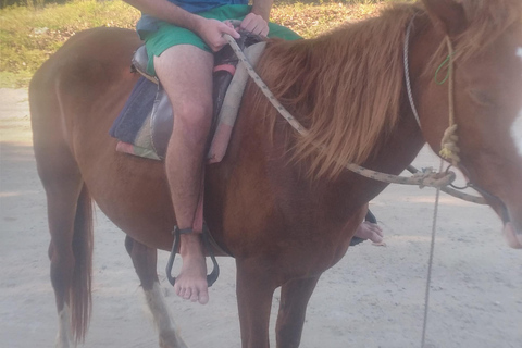 Transfer z międzynarodowego lotniska Nadi...