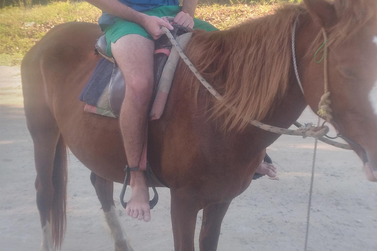 Transfer z międzynarodowego lotniska Nadi...