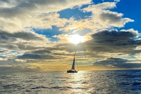 Funchal : observation des dauphins et des baleines au coucher du soleil