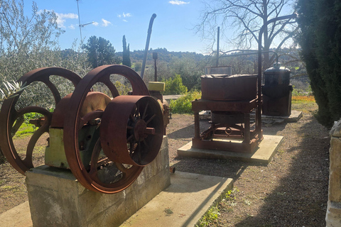 100% Authentic Cypriot Experience Workshops, Wine & Cultural