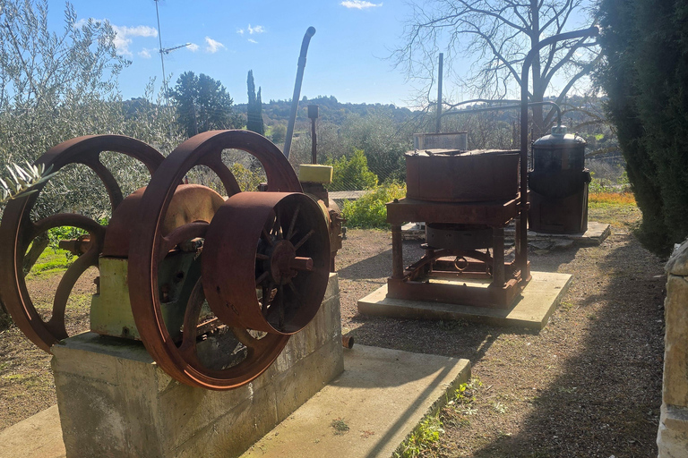 100% Authentic Cypriot Experience Workshops, Wine & Cultural