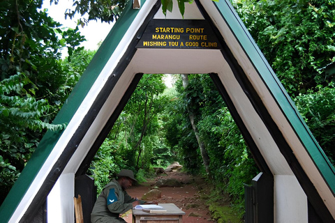 Arusha : Mount Kilimanjaro Day Hike with Breakfast and Lunch