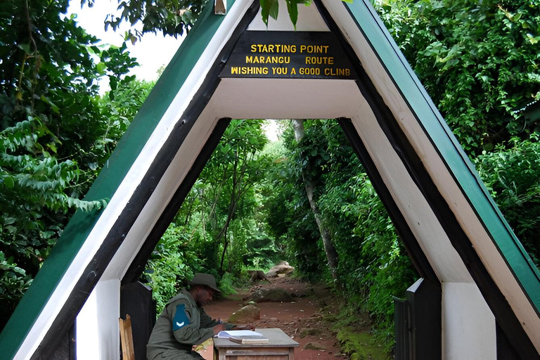 Arusha : Mount Kilimanjaro Day Hike with Breakfast and Lunch