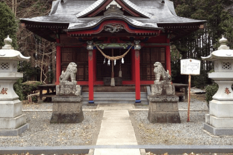 From Tokyo: Mount Fuji Full Day Customizable Private Tour