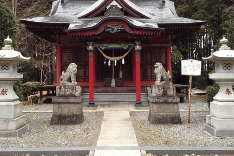 From Tokyo: Mount Fuji Full Day Customizable Private Tour