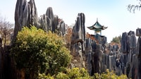Kunming, private Halbtagestour durch den Steinwaldpark w/Option - Hizvo