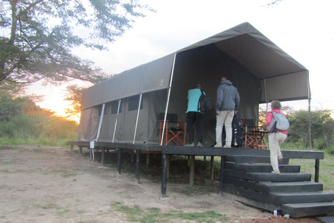 Excursión de un día al Parque Nacional Masai Mara y visita a la aldea Masai