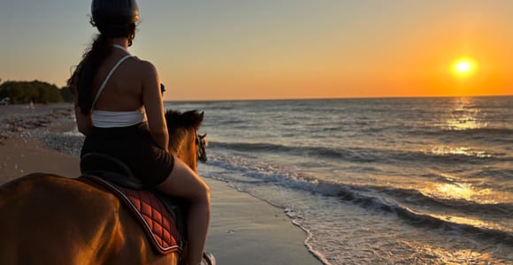 Rhodes: Seaside Horseback Riding Experience