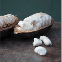 Zaandijk, Chocolate making demonstration & tasting - Housity