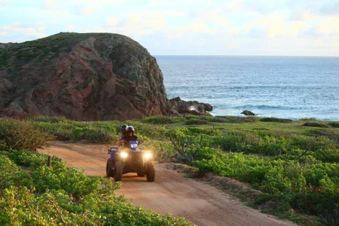 Los Cabos: ATV Spider Road Tour