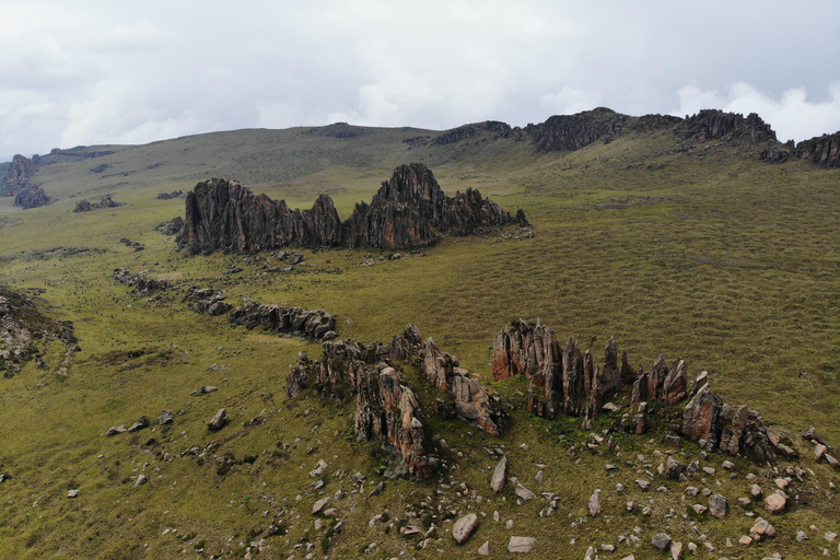 Aberdare National Park: Mount Satima Overnight Hike