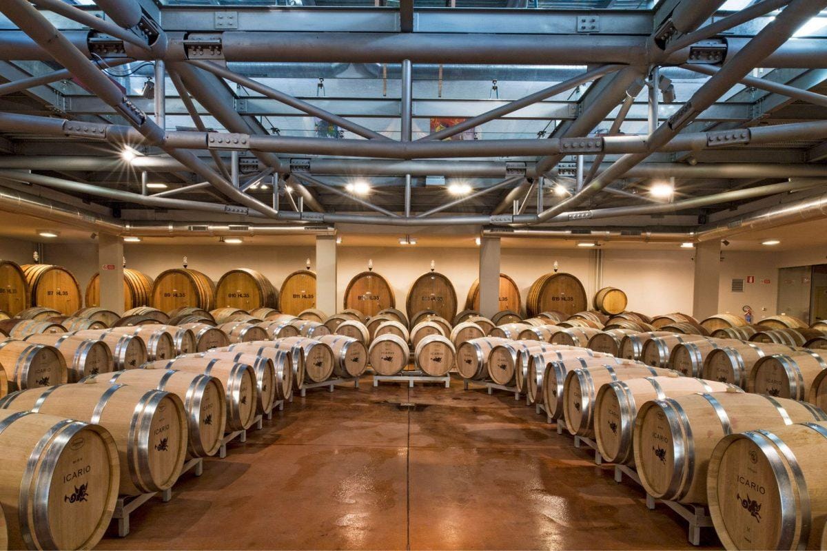 Montepulciano: Weinprobe auf dem Weingut Icario