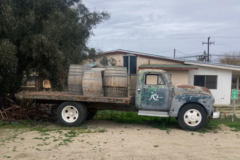 Bike and wine tasting across the Guadalupe Valley Biking and wine tasting across the Guadalupe Valley