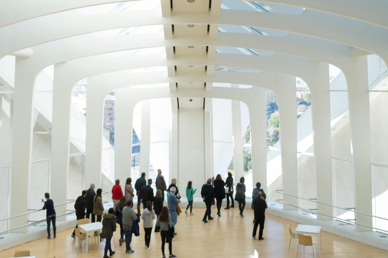 Valencia: Admission - Visit the Palau de Les Arts with a tour guide Valencia: Visit the Palau de Les Arts with an English tour guide