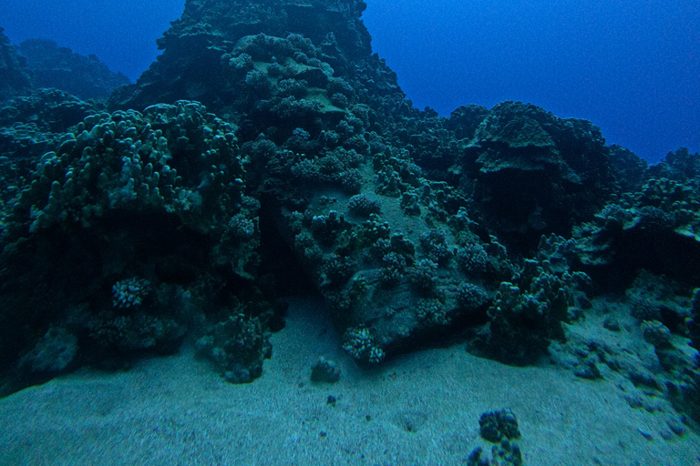 Isla de Pascua: Buceo recreativo-turístico personalizado