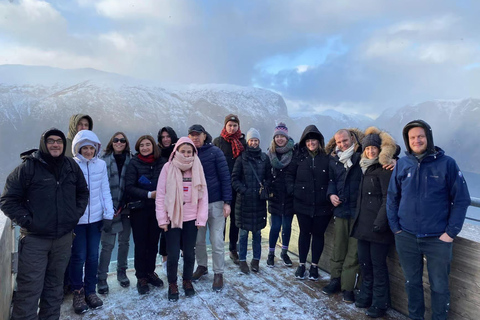 Bergen Day Winter Tour: Nærøyfjord Cruise, Flåm &amp; Stegastein