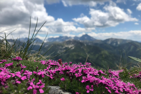 Zakopane: Tatra Mountains Guided Hike with Pickup