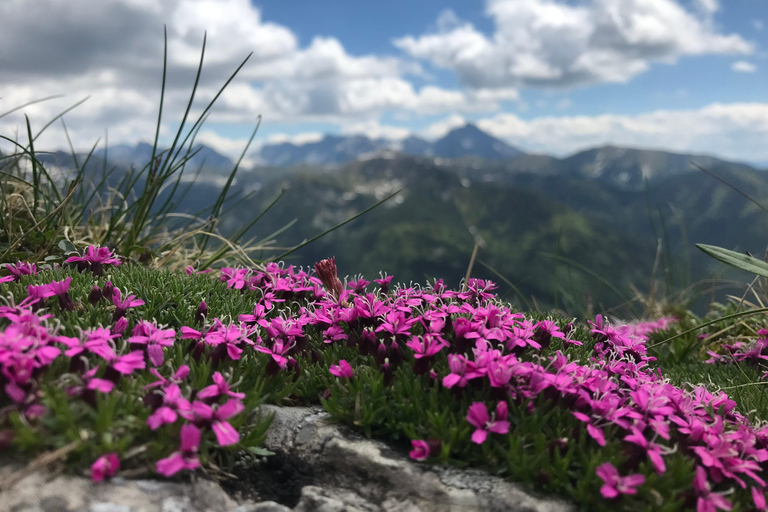 Zakopane: Tatra Mountains Guided Hike with Pickup