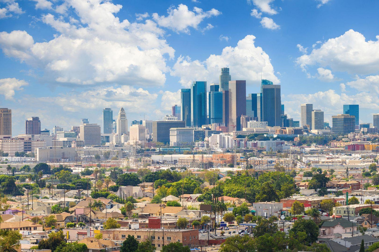 Le meilleur de Los Angeles : Visite à pied privée avec un habitantVisite privée de la ville à pied - 3Hr