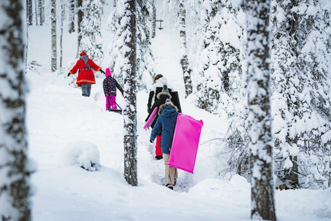 Levi：Arcandia，精灵法庭/日光和公园/黑暗精灵法庭：3 小时体验和公园之旅