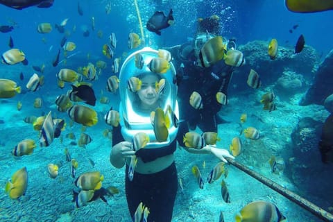 Bali: Underwater Sea Walk, Uluwatu Temple, and Kecak Dance