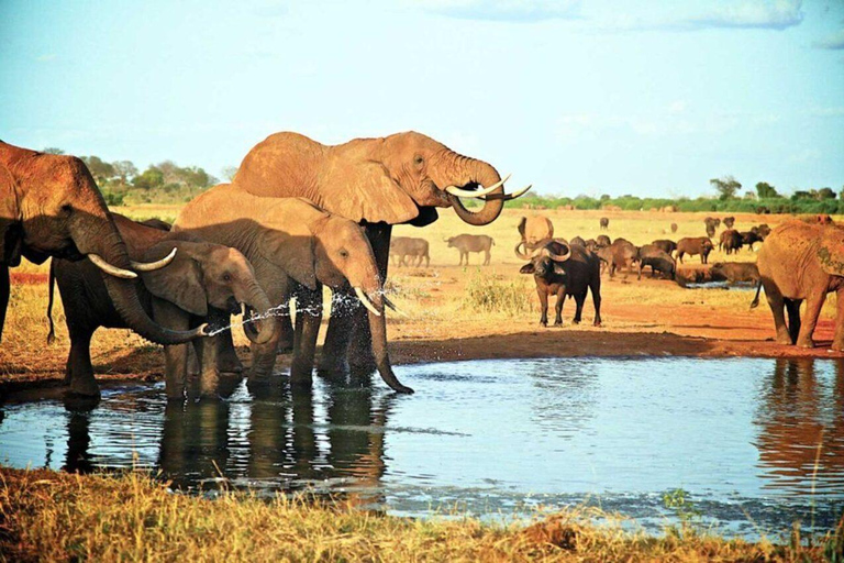 Mombasa: 4-Day Tsavo East Safari with Game Drives