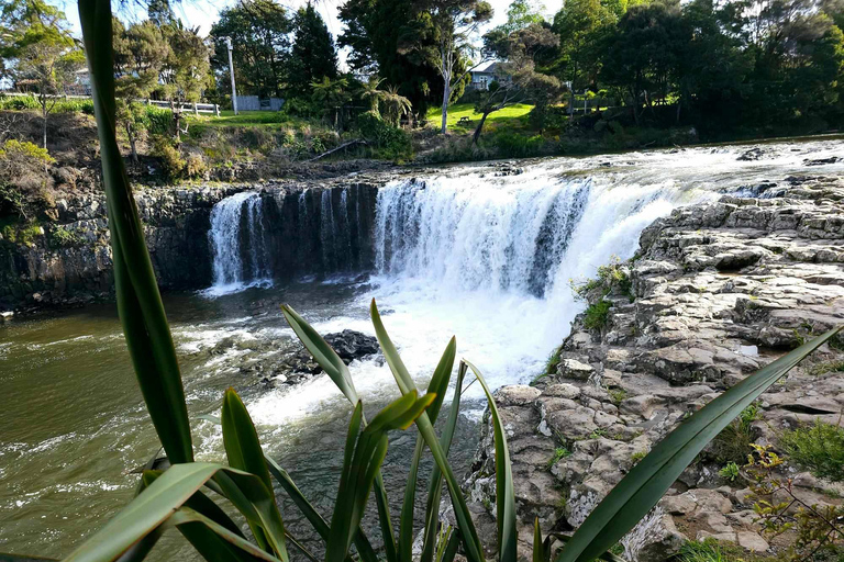 Bahía de las Islas - MiniexcursiónBahía de las Islas - Mini tour