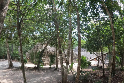 Deluxe Tulum, Coba i 5th Avenue z Cancun