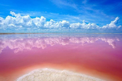 Cancun: Las Coloradas i Río Lagartos - prywatna wycieczka